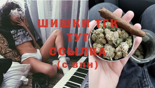 индика Вязьма